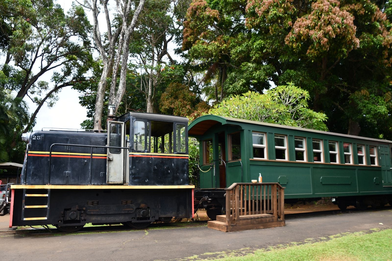 Lily and MacGregor arrive in Porto Velho scene in Jungle Cruise 