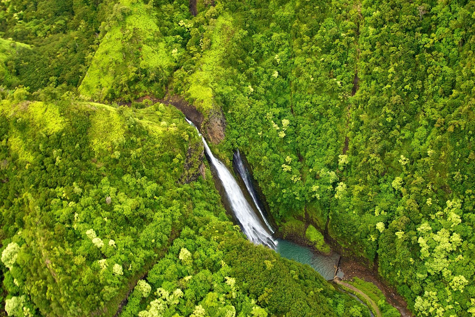 Welcome to Jurassic Park Scene in Jurassic Park