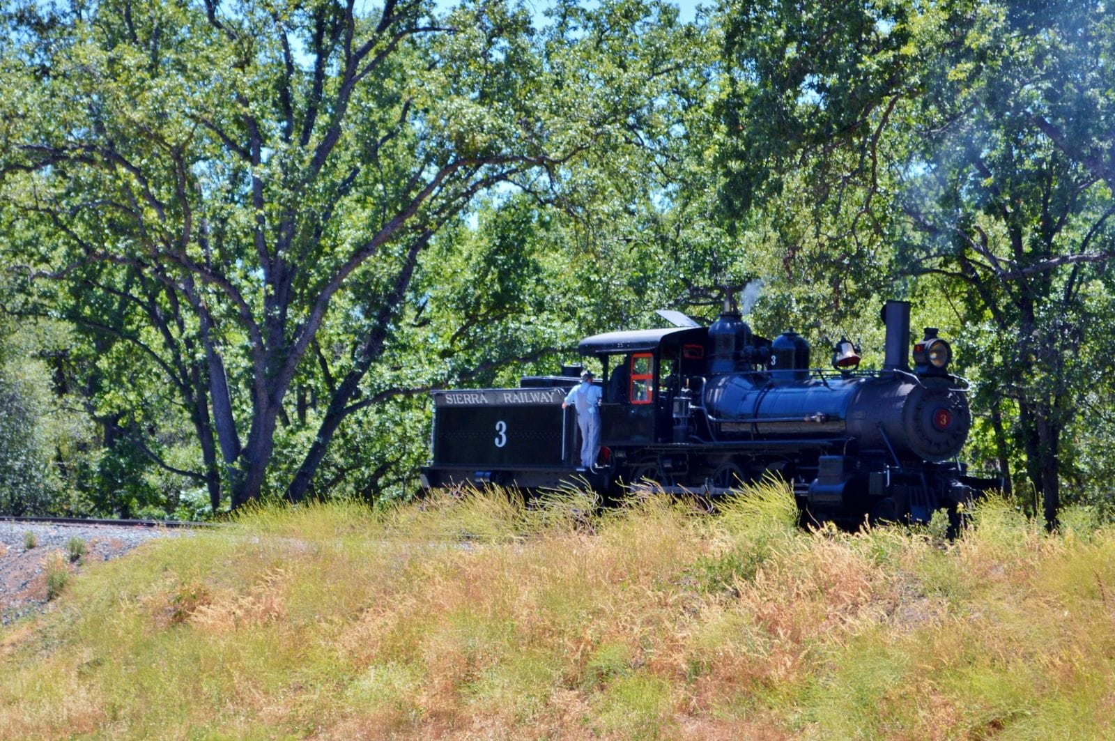 Hatton smuggles Yancey out of town scene in Dodge City